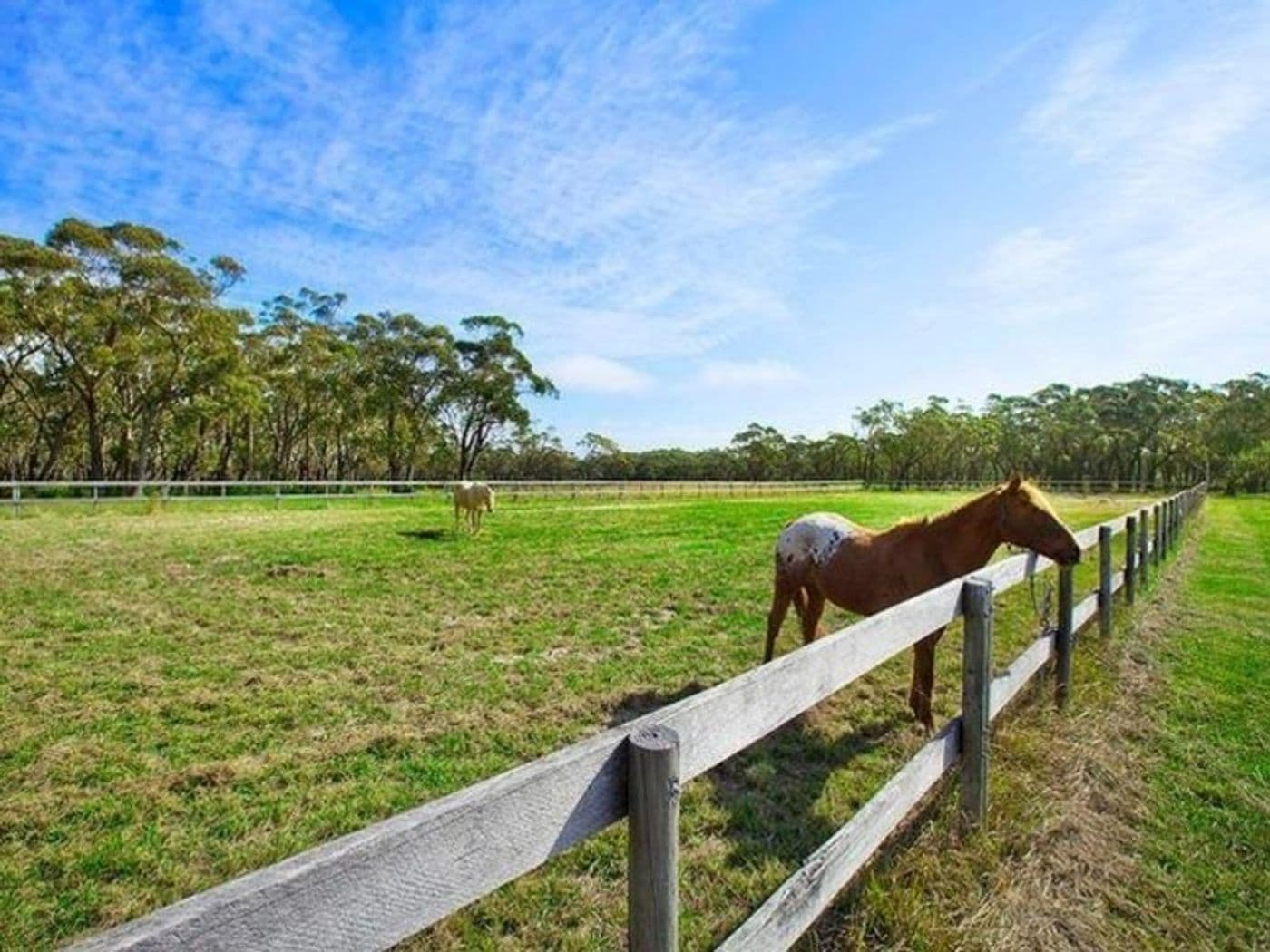 100 Old Princes Highway, Maddens Plains - Thumbnail 3