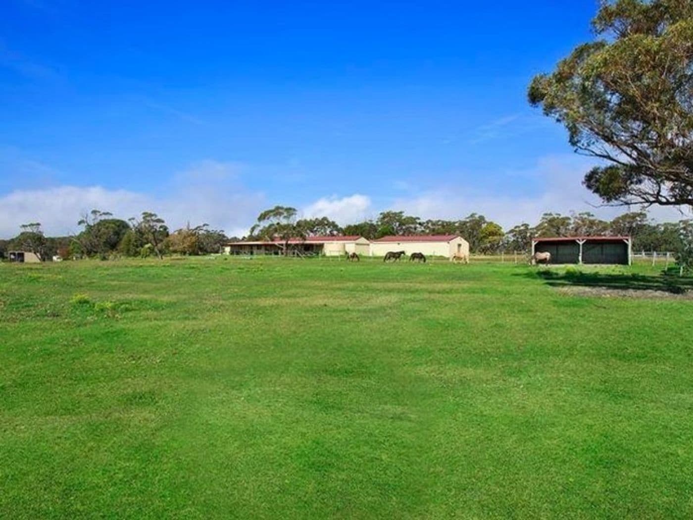 100 Old Princes Highway, Maddens Plains - Thumbnail 4
