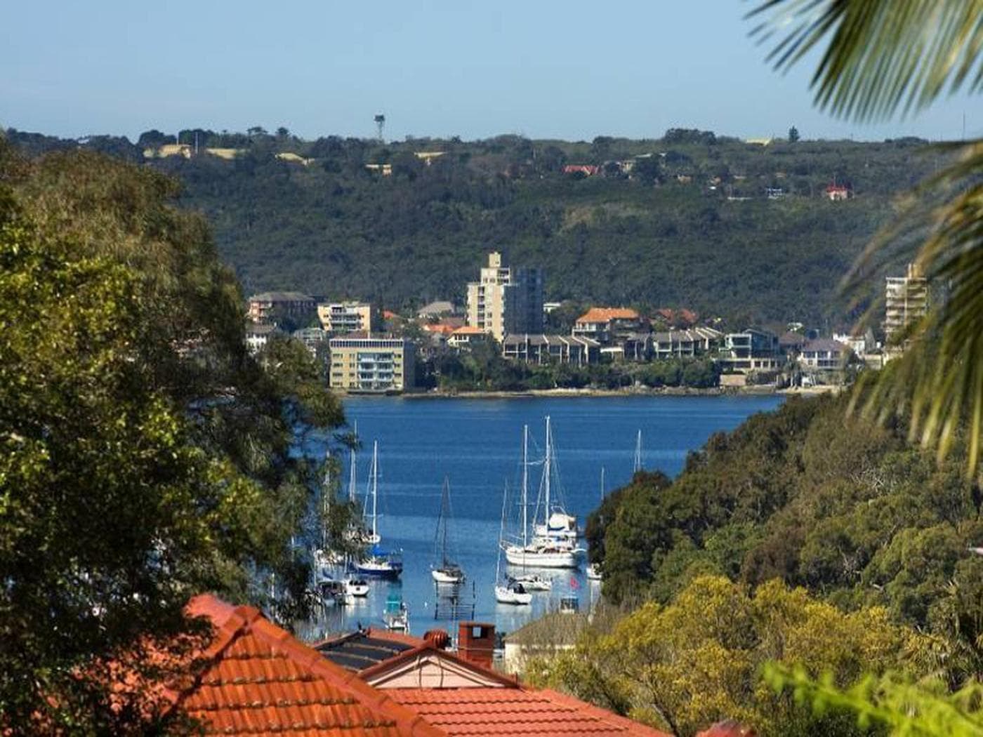 2/10 Neild AvenueBALGOWLAH, Balgowlah - Image 1
