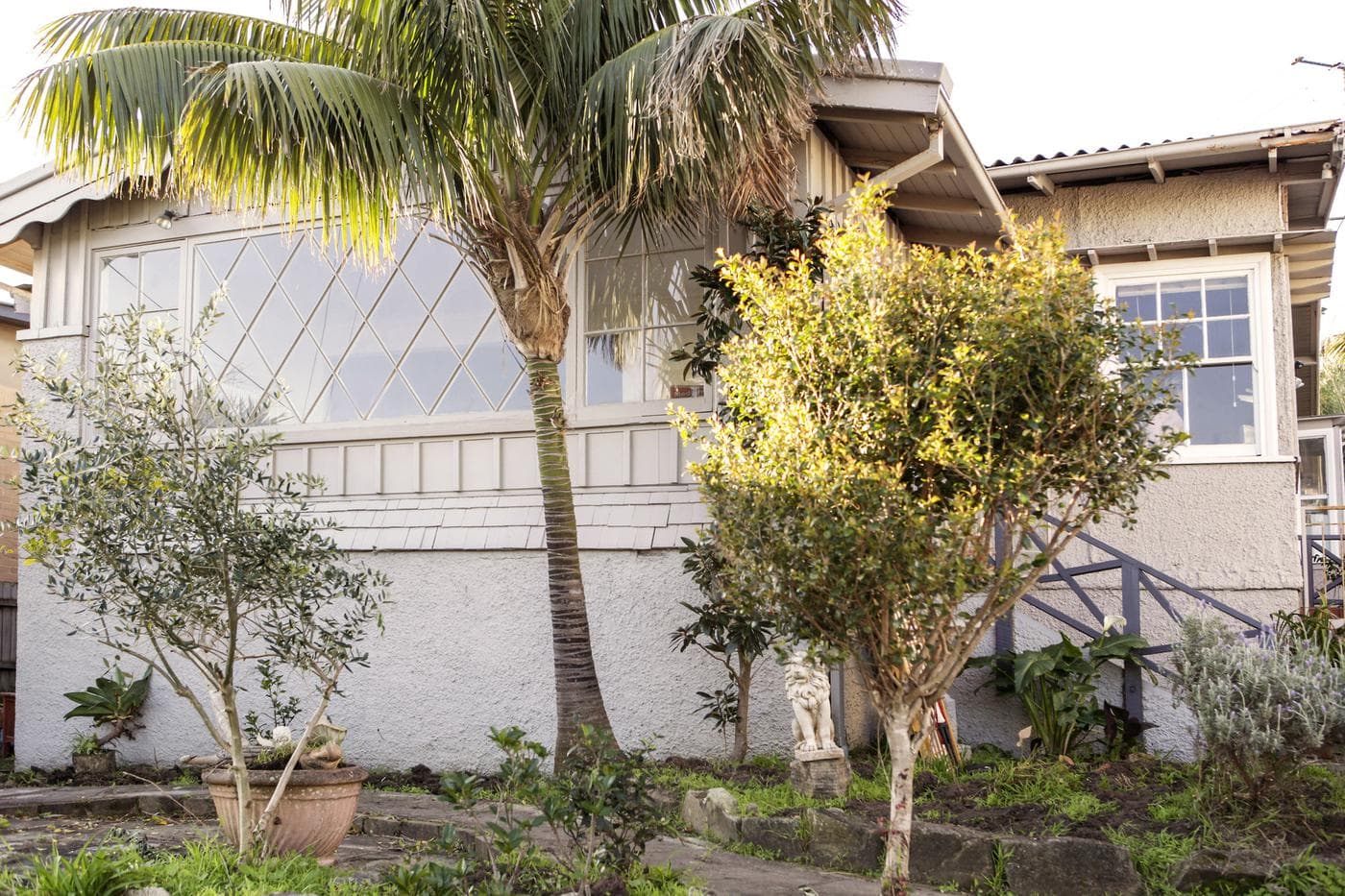 907 Pittwater RoadCollaroy, Collaroy - Thumbnail 5