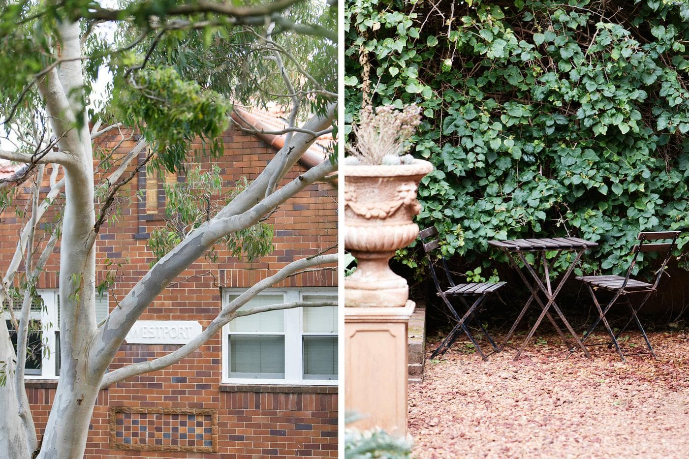 1/5 Griffin StreetManly, Manly - Thumbnail 3