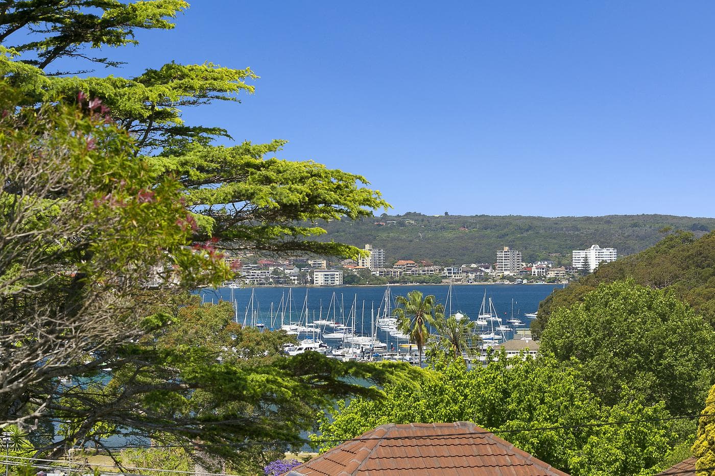 15 Jackson StreetBalgowlah, Balgowlah - Thumbnail 2