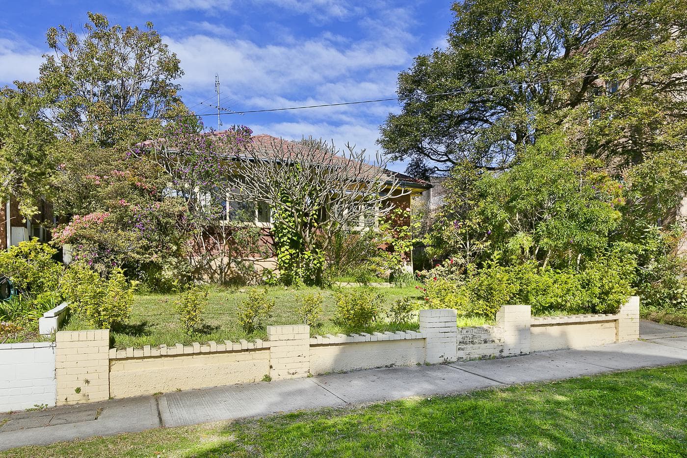 81-83 Griffiths StreetBalgowlah, Balgowlah - Thumbnail 3