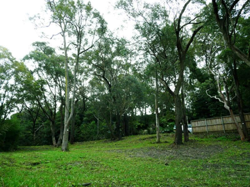 130 Clontarf Street, North Balgowlah - Thumbnail 4