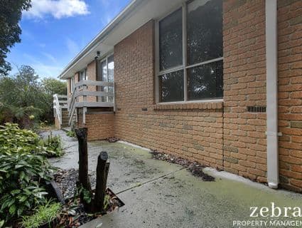 1A Acton Close, Frankston - Thumbnail 8