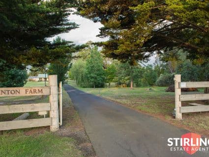 885 Frankston-Flinders Road, Somerville, VIC, 3912, Somerville - Thumbnail 7