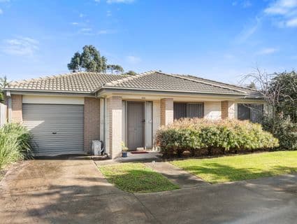 24/3 Elisa Place, Hastings - Image 1
