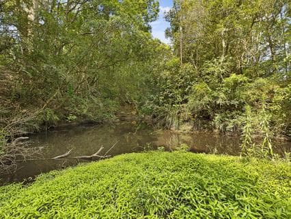 1519 Yarramalong Road, Yarramalong - Thumbnail 8