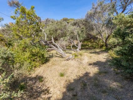 89 Pasadena Street, Rye, VIC, 3941, Rye - Thumbnail 5
