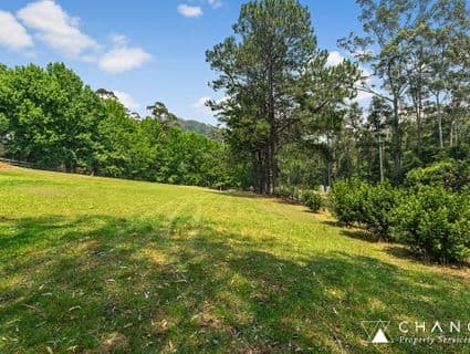 412 Wattle Tree Road, Holgate, NSW, 2250, Holgate - Thumbnail 8