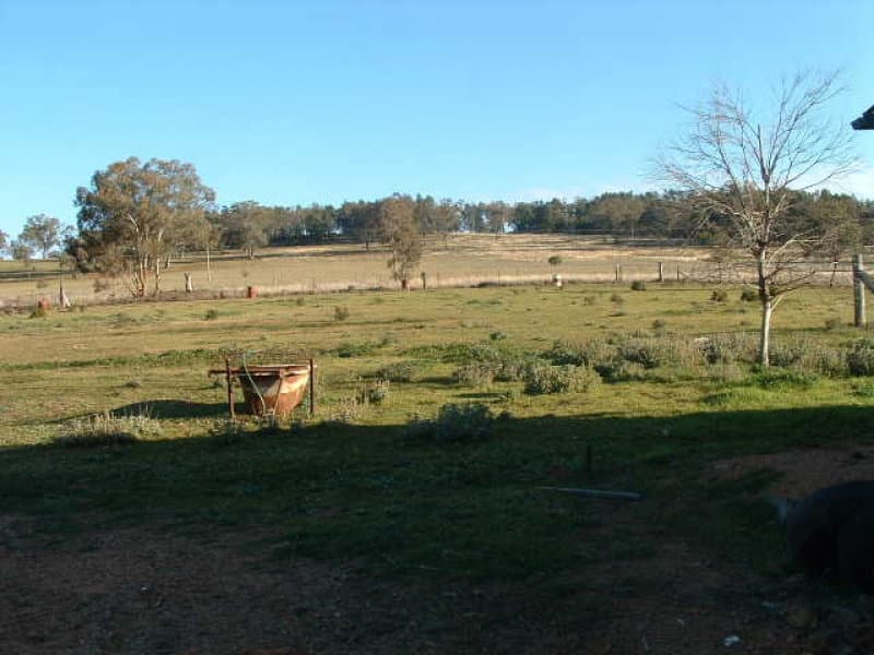 18 Orange Road, MANILDRA, NSW, Manildra - Thumbnail 6