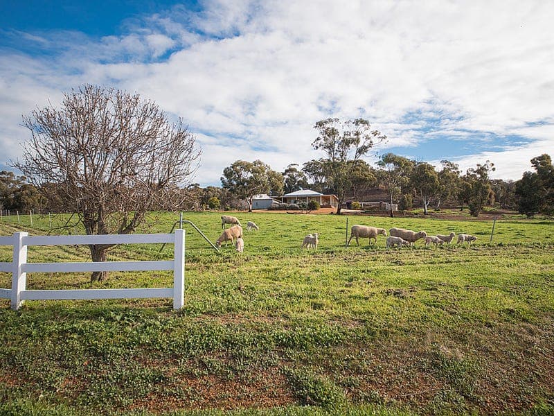 . Part A Wandering - Narrogin Road, CUBALLING, WA, Cuballing - Thumbnail 2