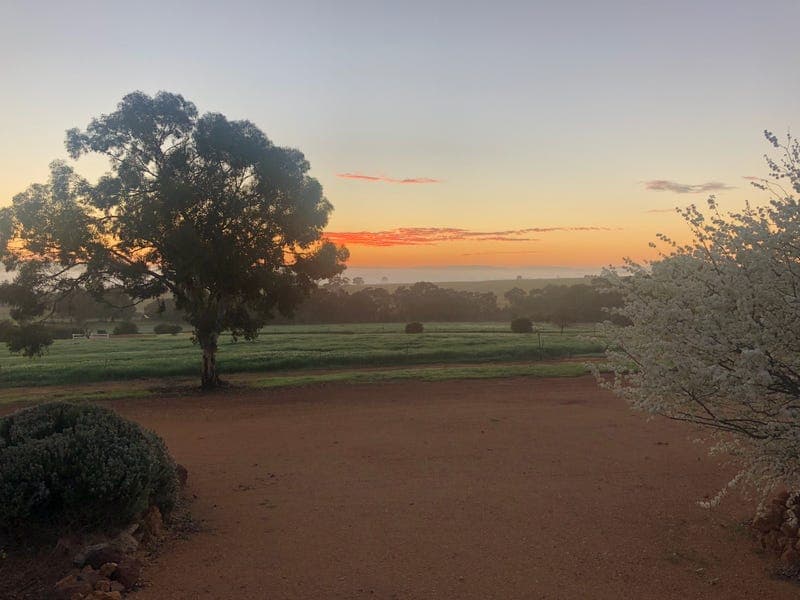 . Part A Wandering - Narrogin Road, CUBALLING, WA, Cuballing - Thumbnail 4