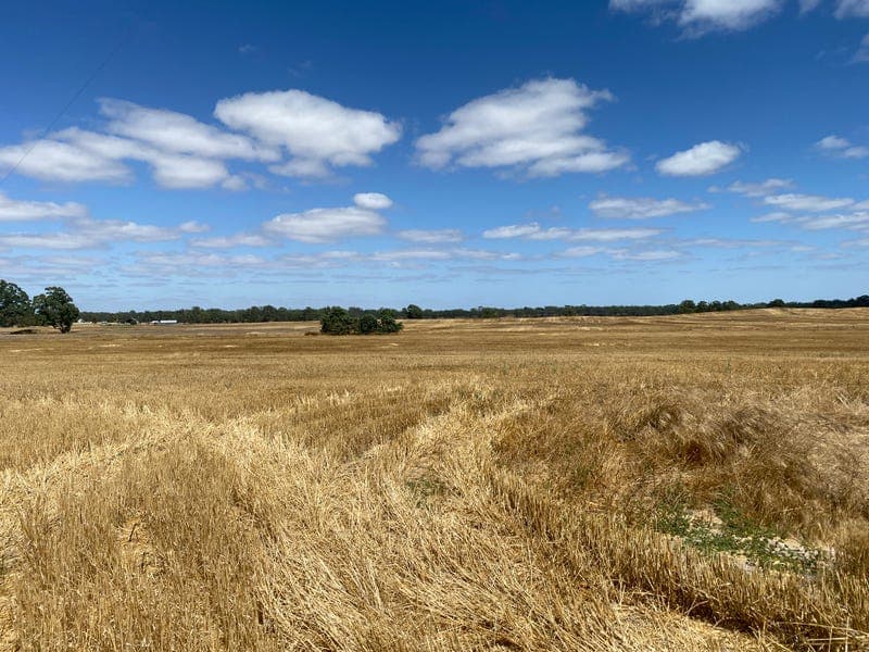 494 Ozenkadnook Mortat Road, OZENKADNOOK, VIC, Ozenkadnook - Image 1