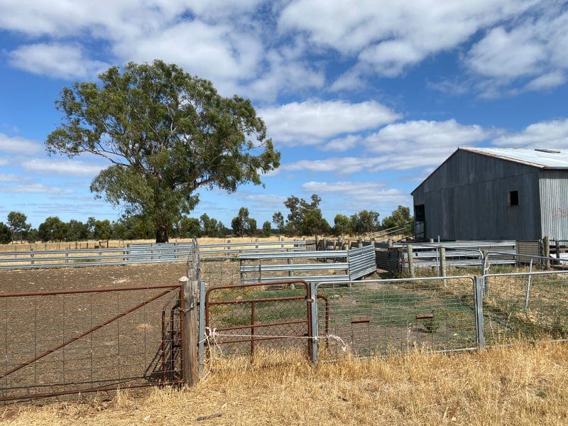 494 Ozenkadnook Mortat Road, OZENKADNOOK, VIC, Ozenkadnook - Thumbnail 4