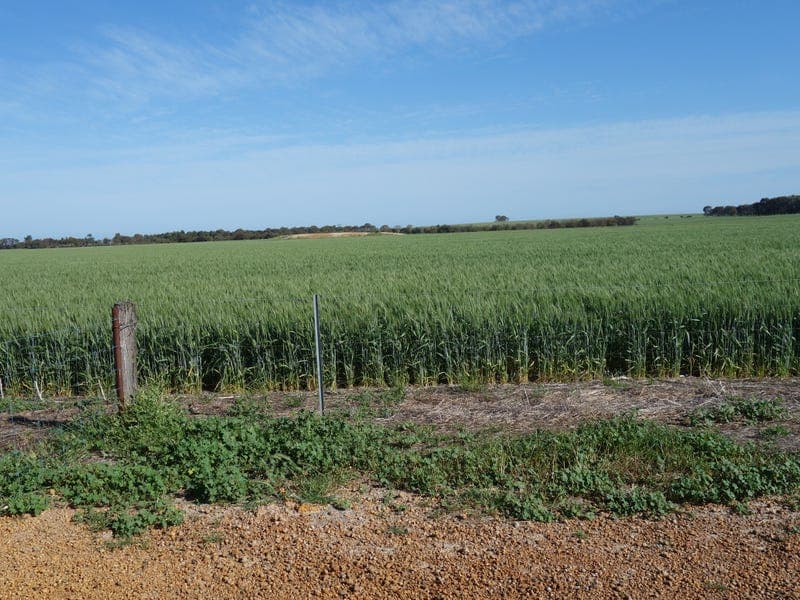 4714 South Coast Highway, COOMALBIDGUP, WA, Coomalbidgup - Thumbnail 8