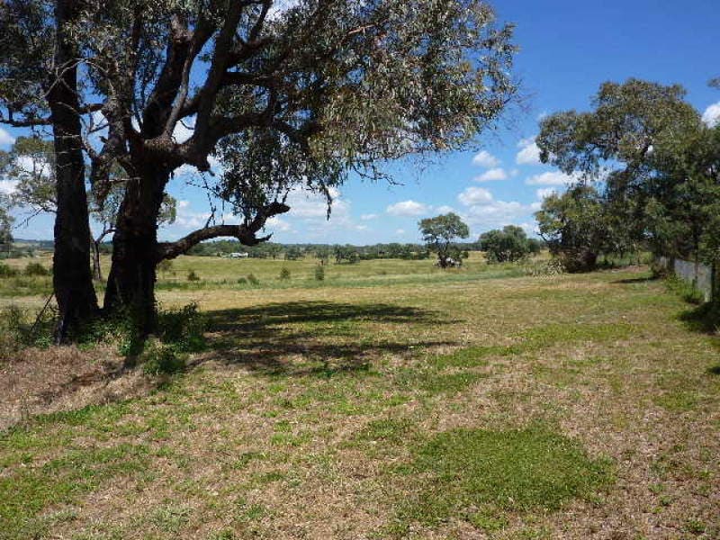 148 Back Saleyards Road, MOLONG, NSW, Molong - Image 1