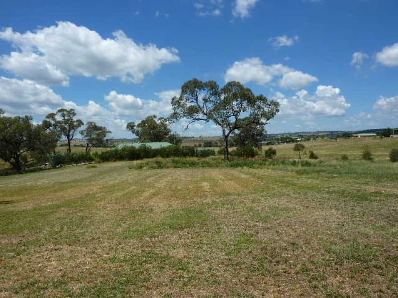 148 Back Saleyards Road, MOLONG, NSW, Molong - Thumbnail 3