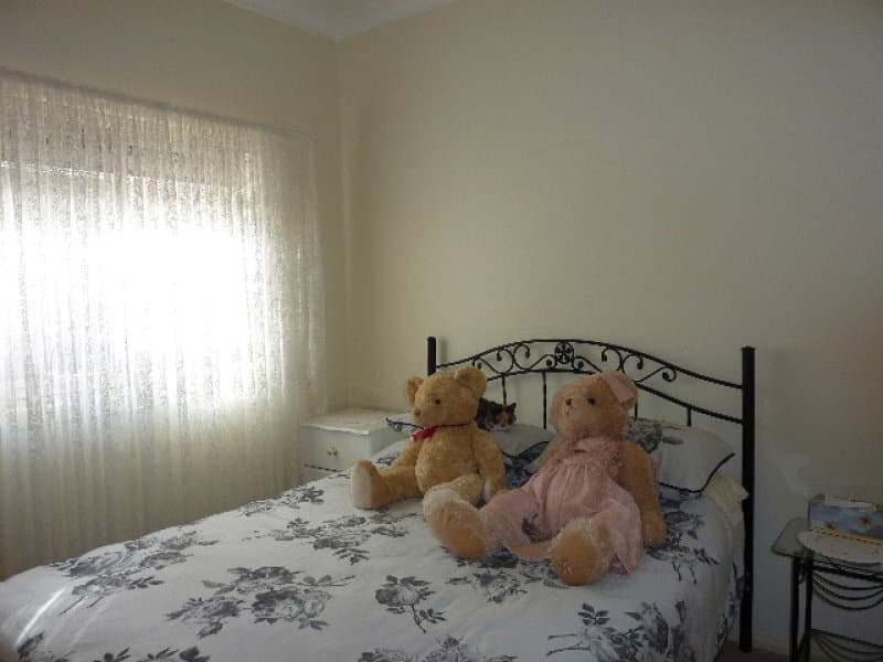 51 Riddell Street, Molong, NSW, Molong - Thumbnail 7