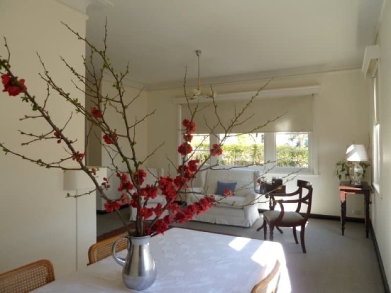 117 Gardiner Road, ORANGE, NSW, Orange - Thumbnail 4