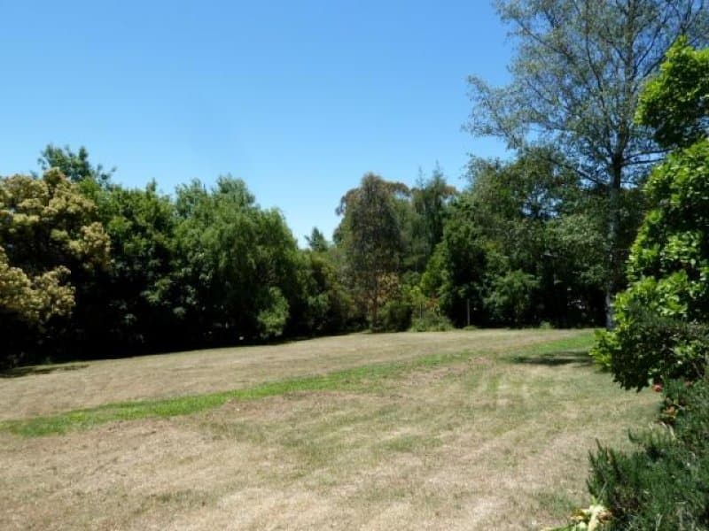 Cargo Road, ORANGE, NSW, Orange - Thumbnail 7