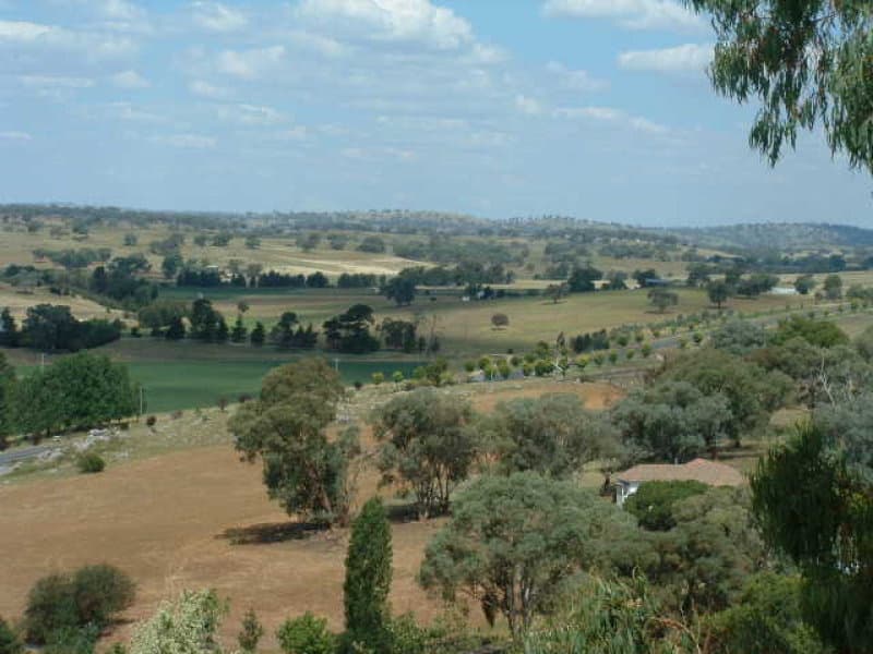 9 McArdle, MOLONG, NSW, Molong - Thumbnail 4
