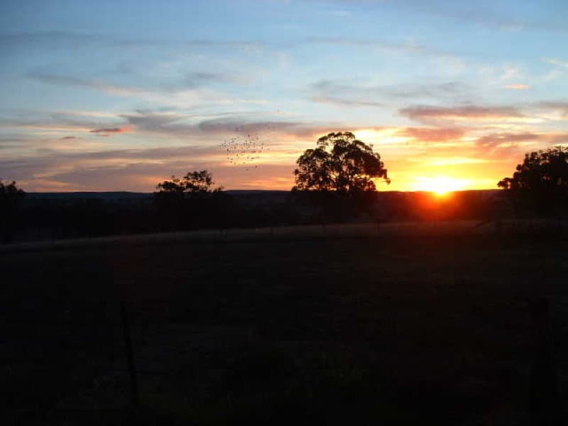 2474 Mitchell Highway, MOLONG, NSW, Molong - Image 1