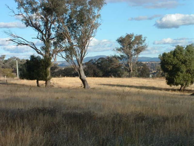 2474 Mitchell Highway, MOLONG, NSW, Molong - Thumbnail 4