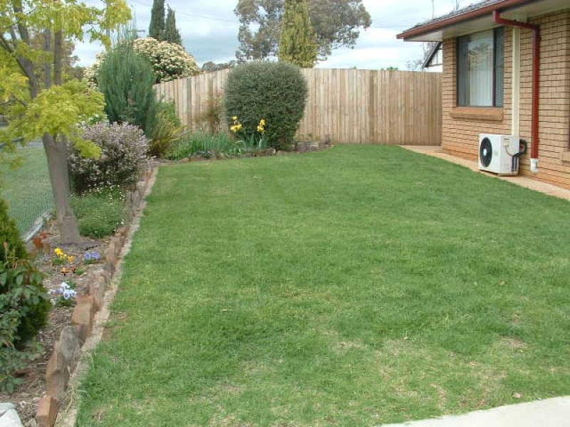 65 Phillip Street, MOLONG, NSW, Molong - Thumbnail 7