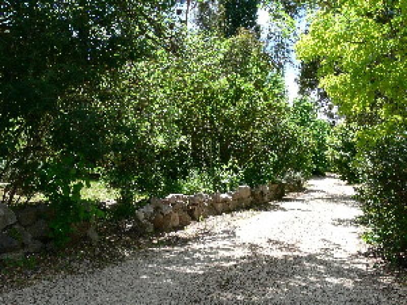 104 Market Street, MOLONG, NSW, Molong - Thumbnail 7