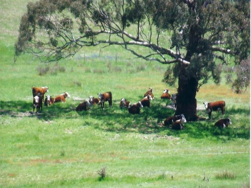 Lot 2 Icely Road, ORANGE, NSW, Orange - Thumbnail 2