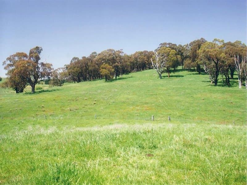 Lot 3 Icely Road, ORANGE, NSW, Orange - Thumbnail 2