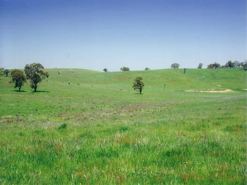 Lot 4 Icely Road, ORANGE, NSW, Orange - Thumbnail 4