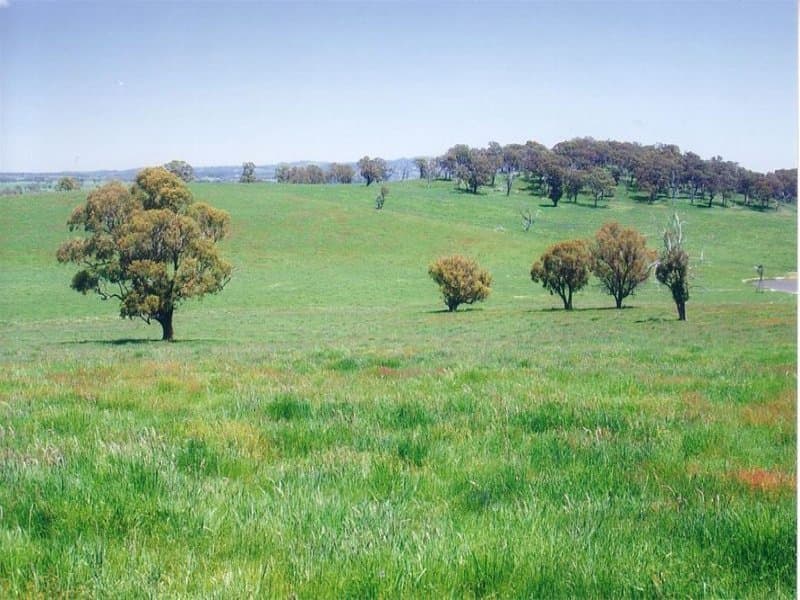 Lot 4 Icely Road, ORANGE, NSW, Orange - Thumbnail 5