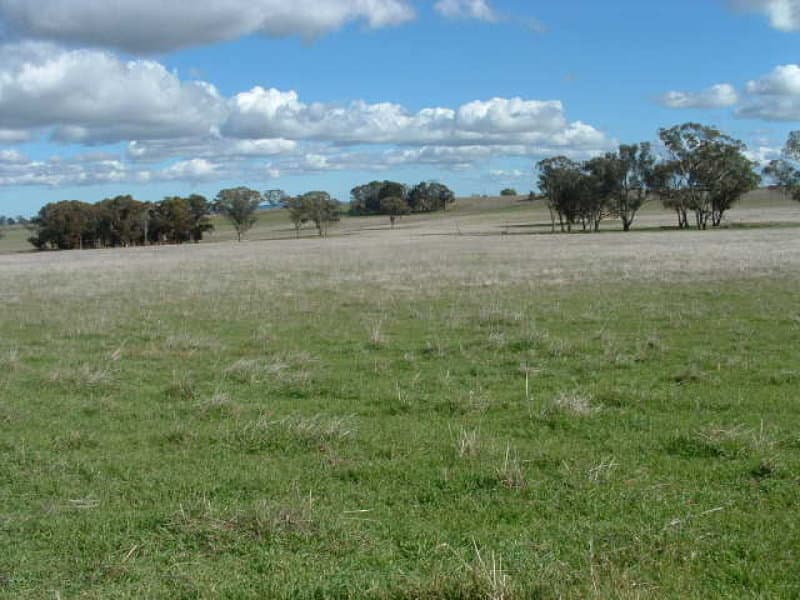 * Finches Road, MOLONG, NSW, Molong - Thumbnail 6