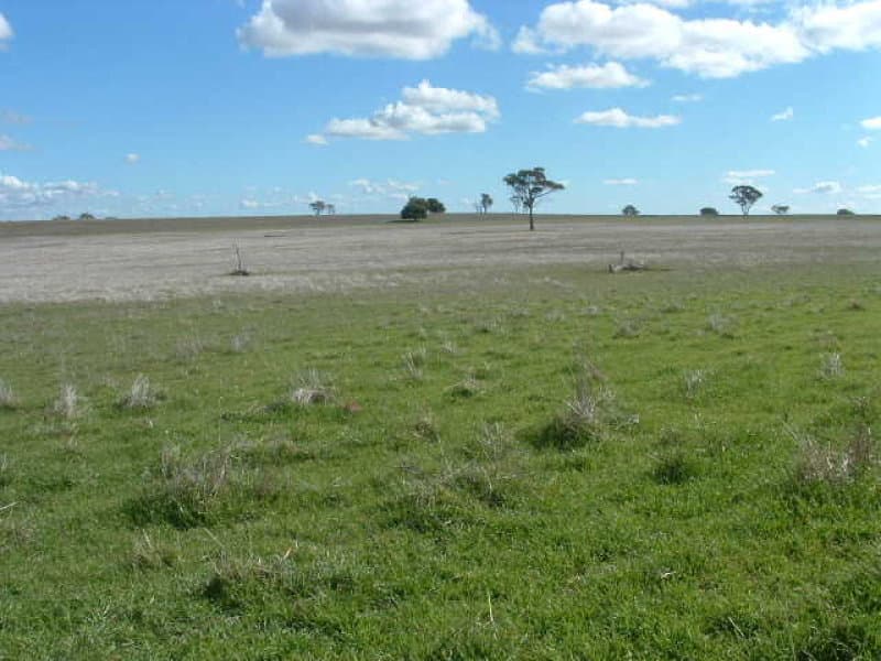 * Finches Road, MOLONG, NSW, Molong - Thumbnail 7