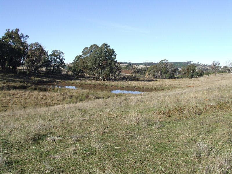 16 Hectares - Beautifully Sheltered, Orange - Image 1