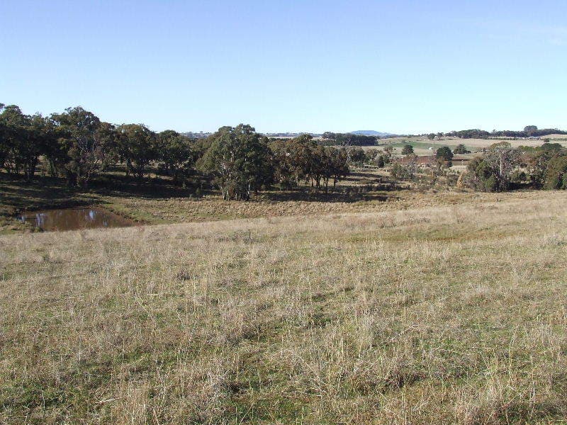 16 Hectares - Beautifully Sheltered, Orange - Thumbnail 2