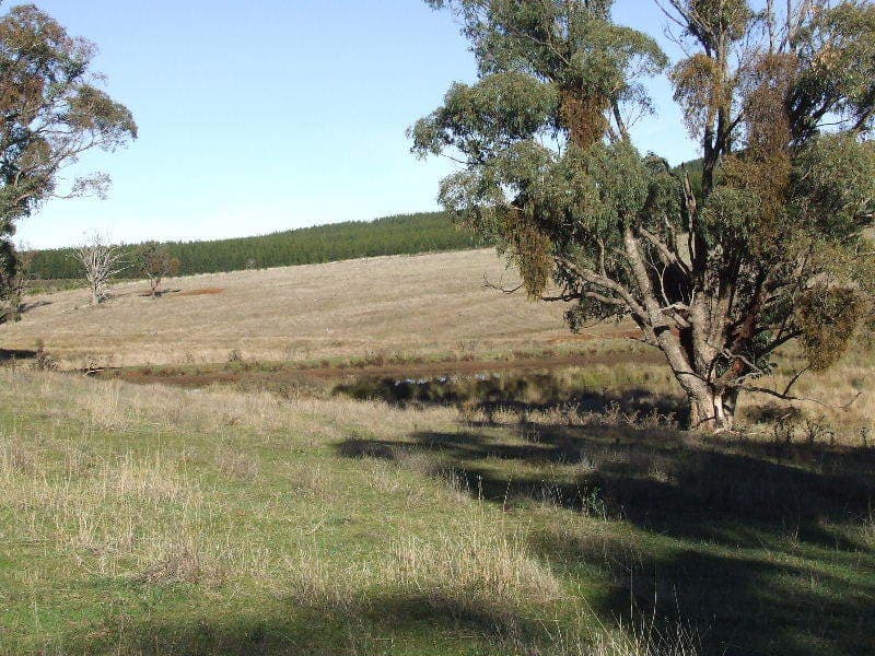 16 Hectares - Beautifully Sheltered, Orange - Thumbnail 5