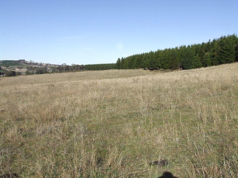 16 Hectares - Beautifully Sheltered, Orange - Thumbnail 6