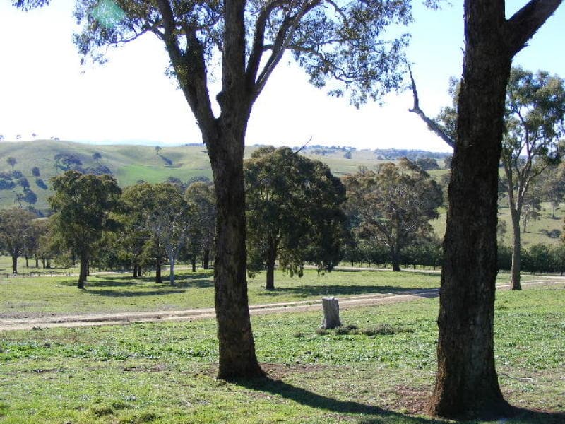 - Dickson Lane, ORANGE, NSW, Orange - Thumbnail 5