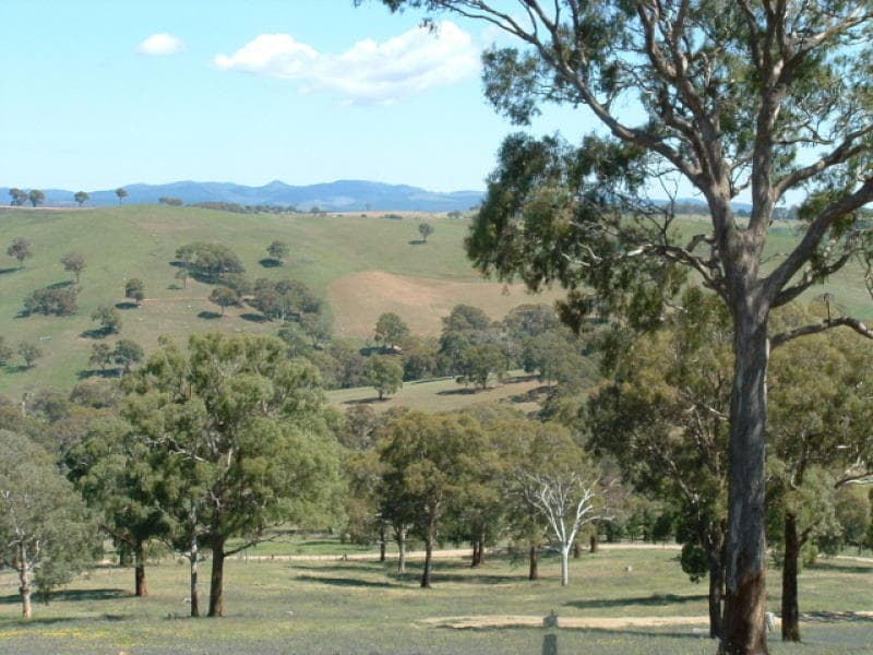- Dickson Lane, ORANGE, NSW, Orange - Thumbnail 6