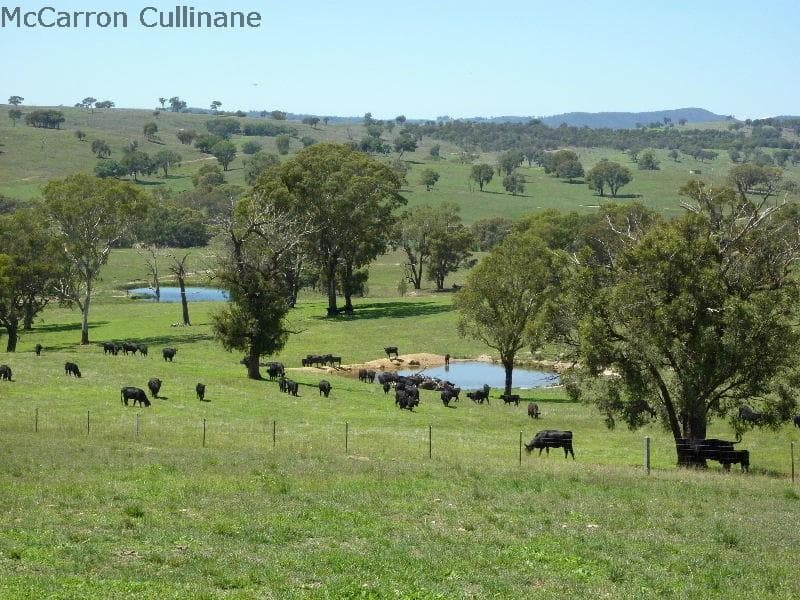 779 Lower Lewis Ponds Road, ORANGE, NSW, Orange - Thumbnail 4