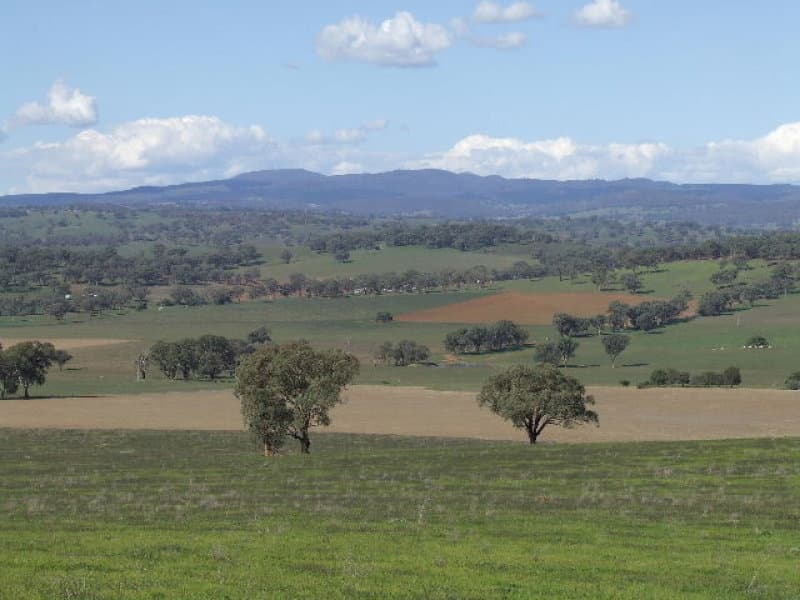 198 Barragan Road, CARGO, NSW, Cargo - Thumbnail 2