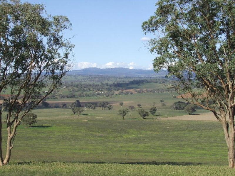 198 Barragan Road, CARGO, NSW, Cargo - Thumbnail 6