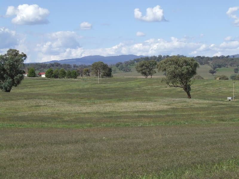 198 Barragan Road, CARGO, NSW, Cargo - Thumbnail 7
