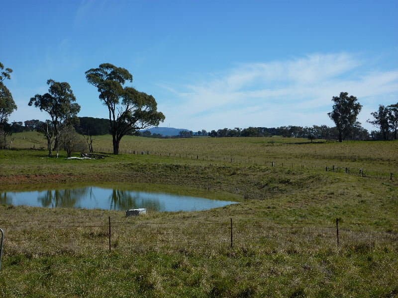 168 Eves Lane, ORANGE, NSW, Orange - Thumbnail 6