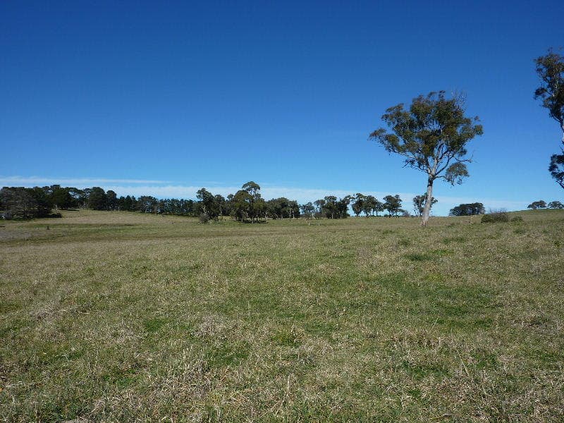 168 Eves Lane, ORANGE, NSW, Orange - Thumbnail 7