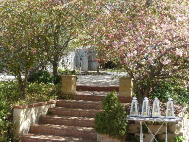 * Boomey Stud   - Euchareena Road, MOLONG, NSW, Molong - Thumbnail 5