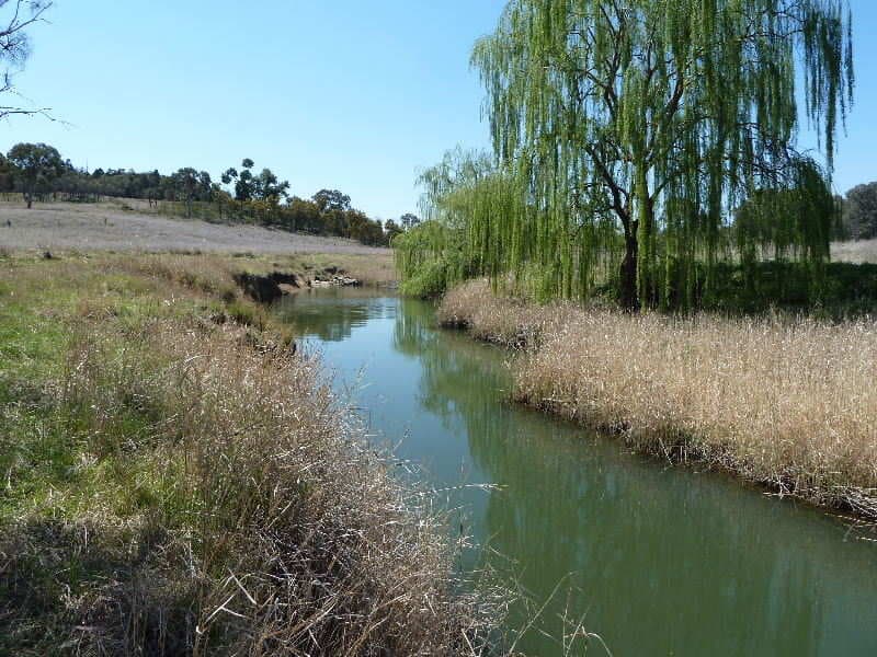 * GOONIGAL    Gumble Rd  Manildra, ORANGE, NSW, Orange - Thumbnail 8